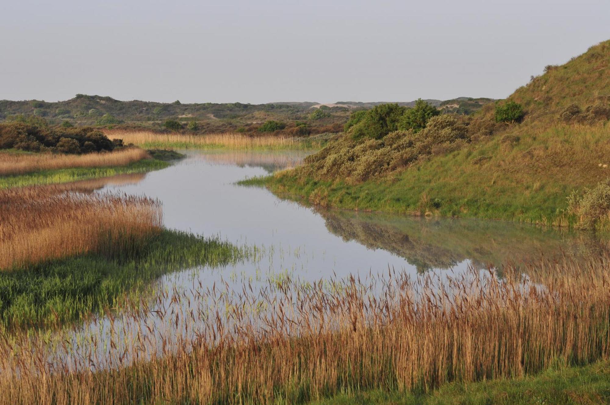 Boutique Lodge Zandvoort Eksteriør bilde